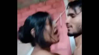 Indian Love Bird Video